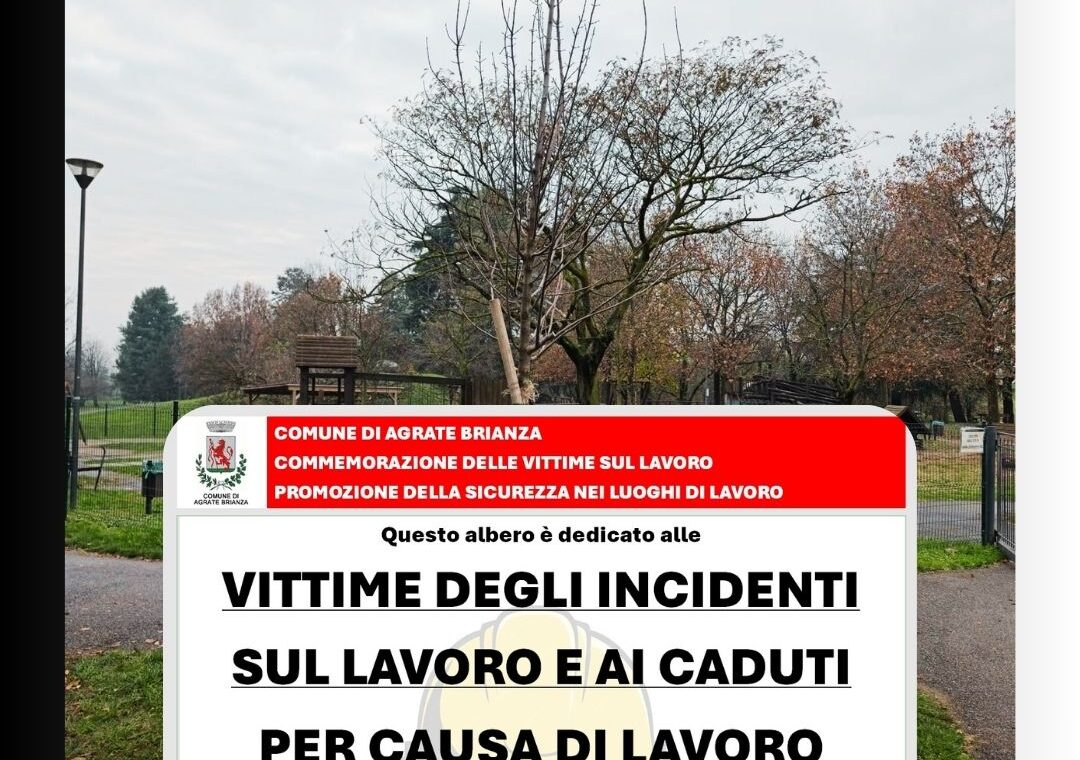 albero per i lavoratori