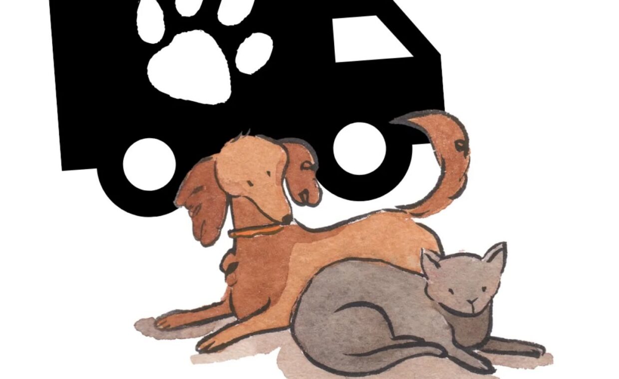 619664543_18027434591788041_7458423286068939129_n