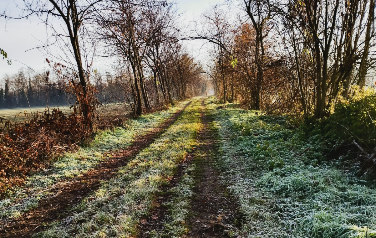 Screenshot_20260109-114600