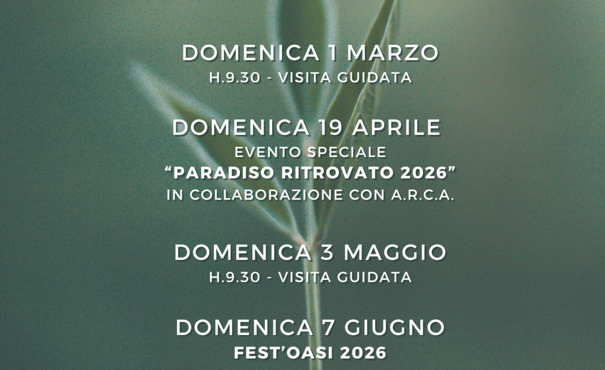 Aperture OASI Primavera Estate 2026