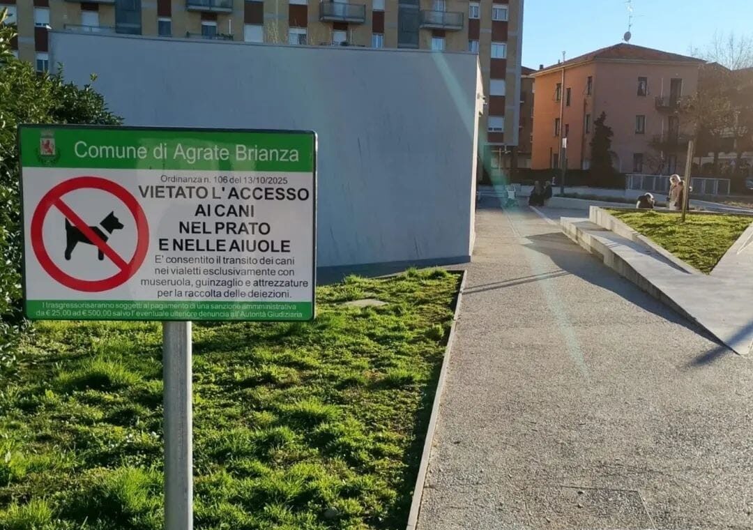 f626f3b5-94f7-4424-982d-29a42c46acbb