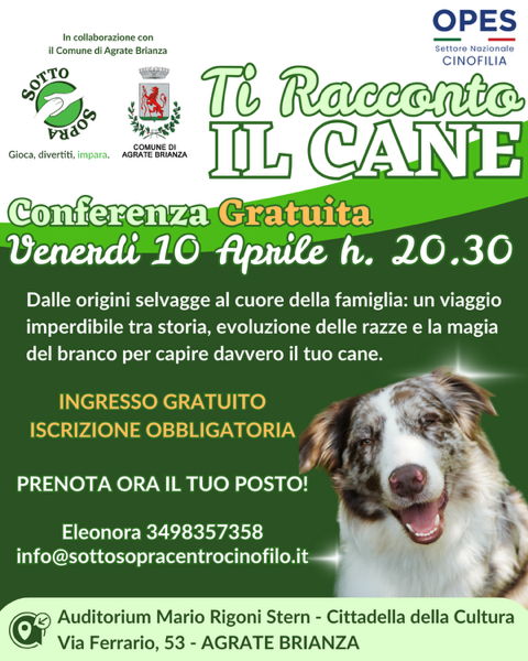 il cane