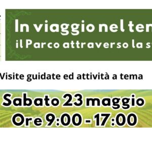 ParcoPane