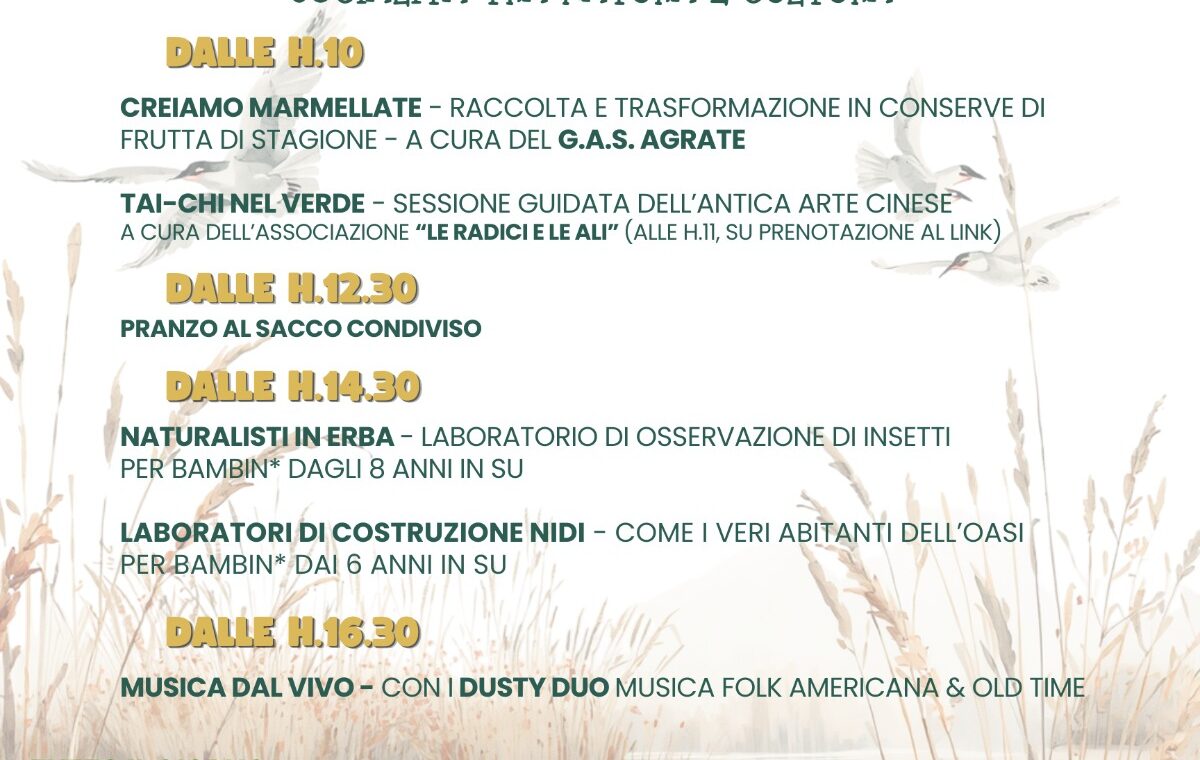 Programma Fest'Oasi 2026