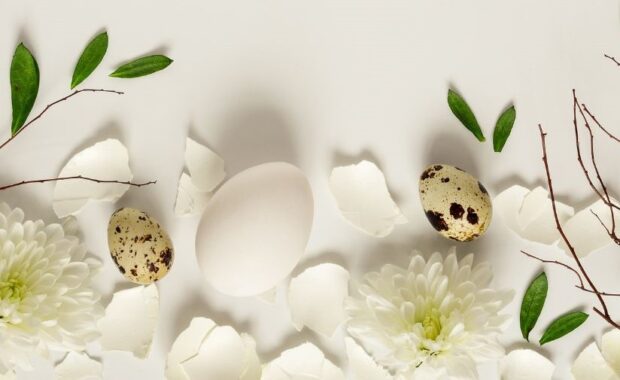 Auguri di Buona Pasqua