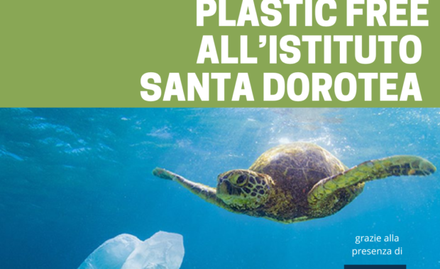 Plastic Free