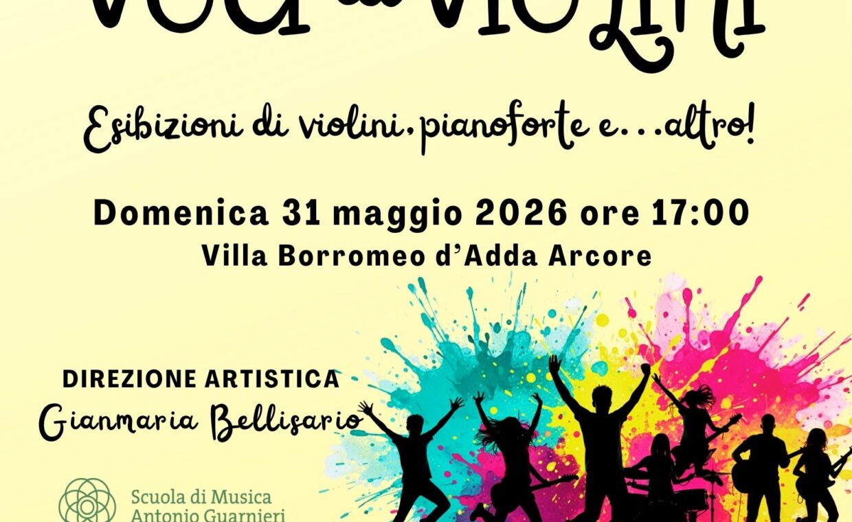 19- VOCI DI VIOLINI