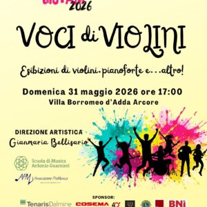 19- VOCI DI VIOLINI