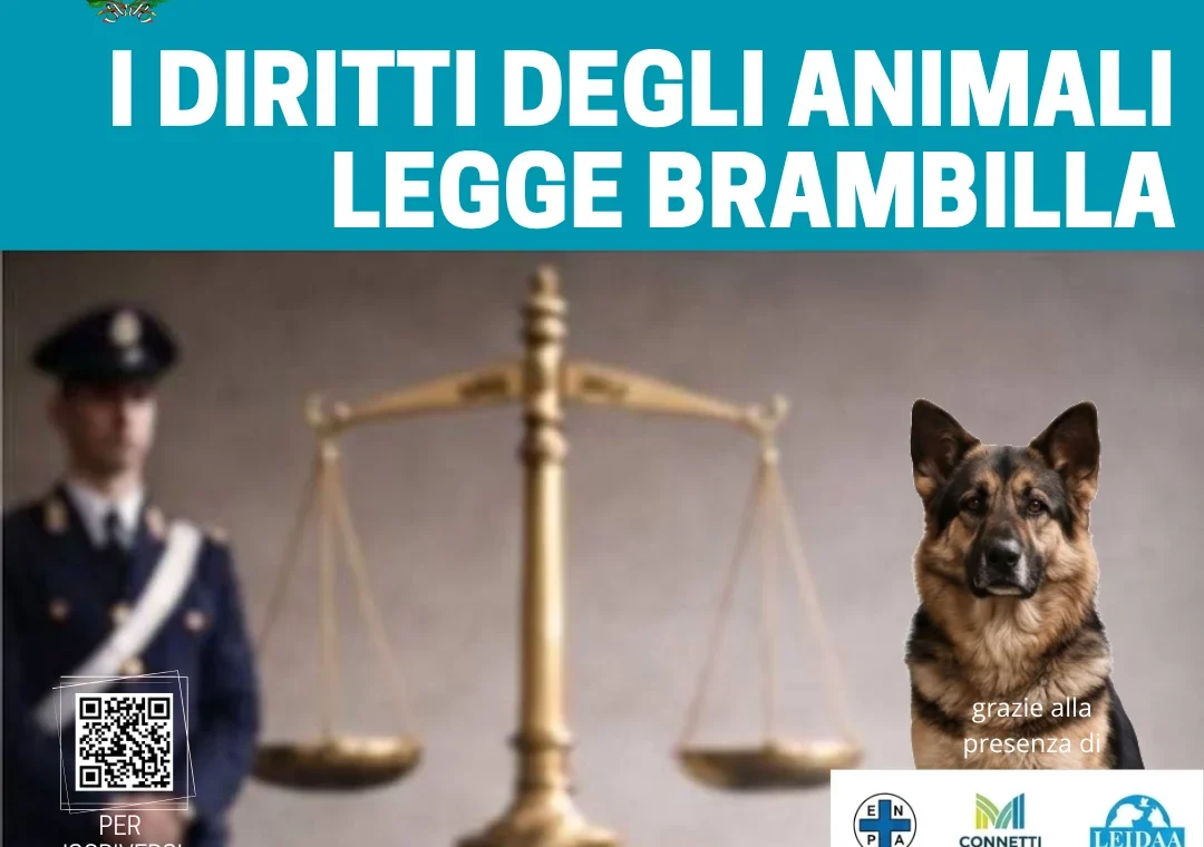 Legge Brambilla