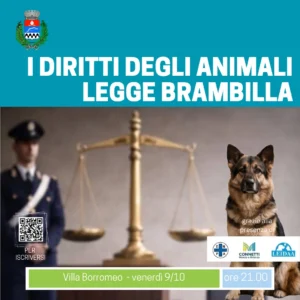 Legge Brambilla