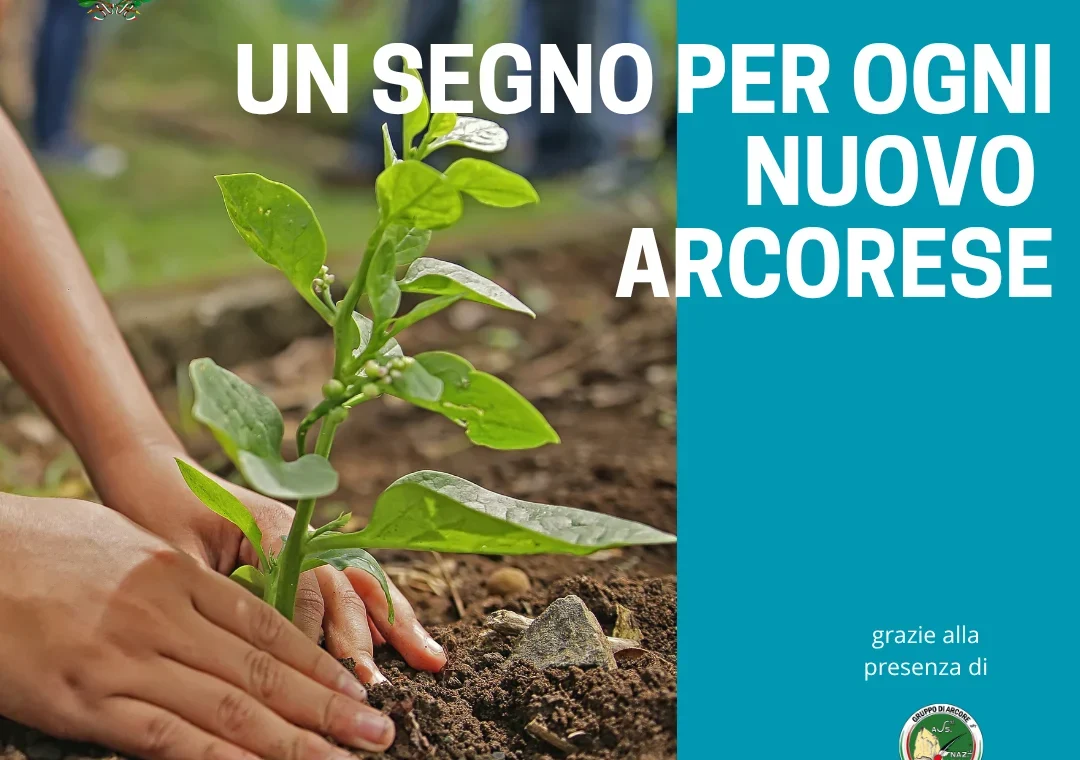 Un albero nuovo nato
