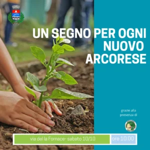 Un albero nuovo nato