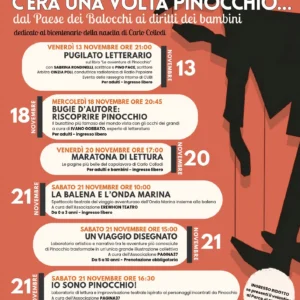 Pinocchio definitivo