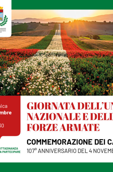 Cerimonia 4 novembre_FB