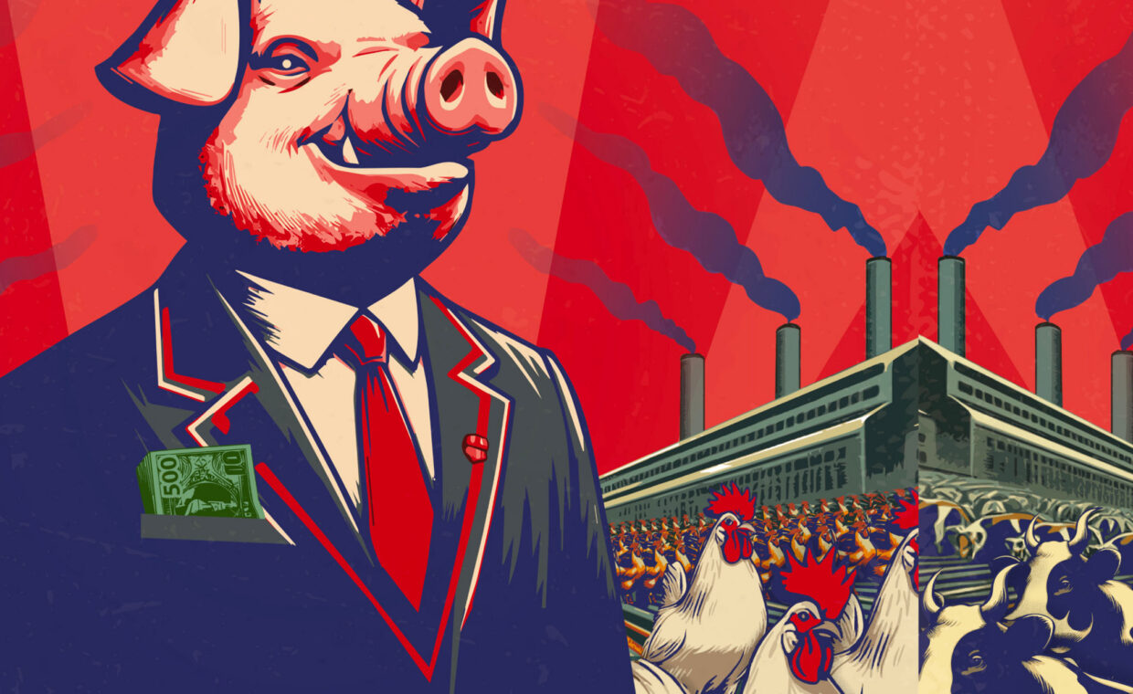 food for profit