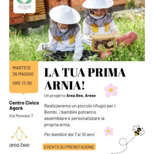 Casette bombi_area bee_IG