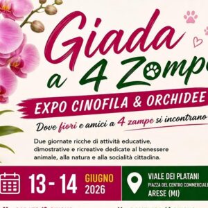 Giada 4 Zampe_HP