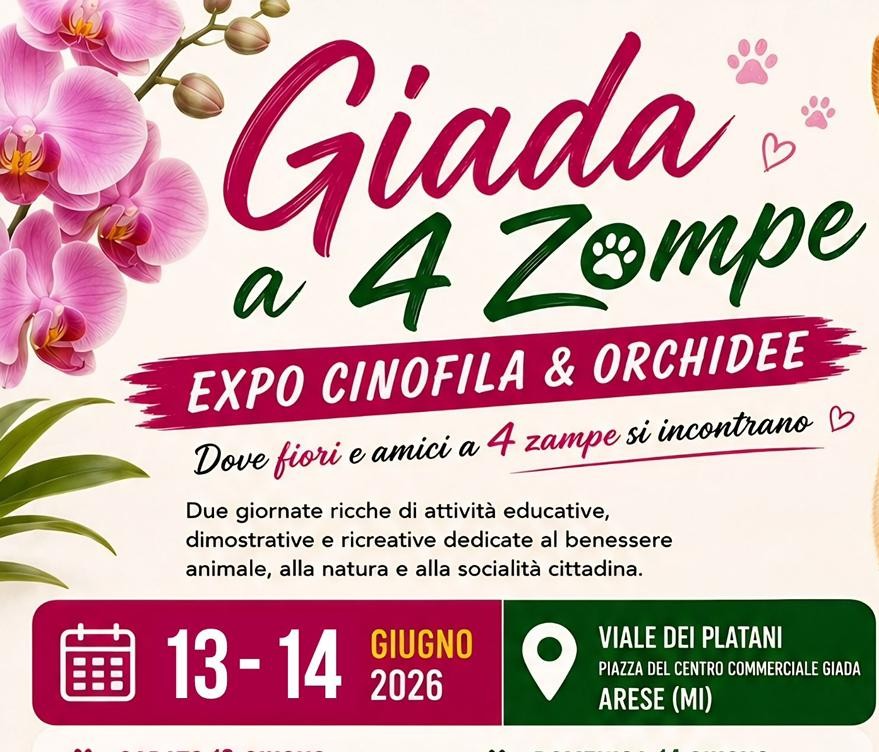 Giada 4 Zampe_HP