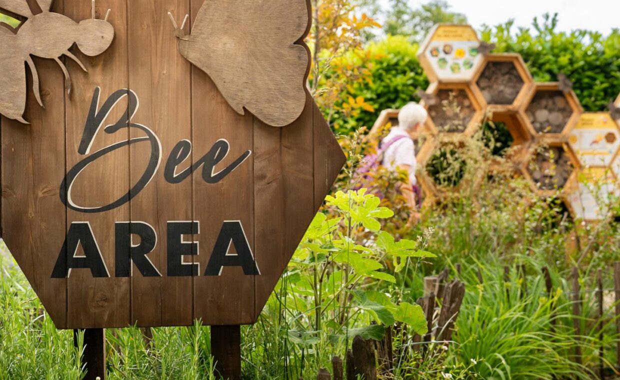 bee area