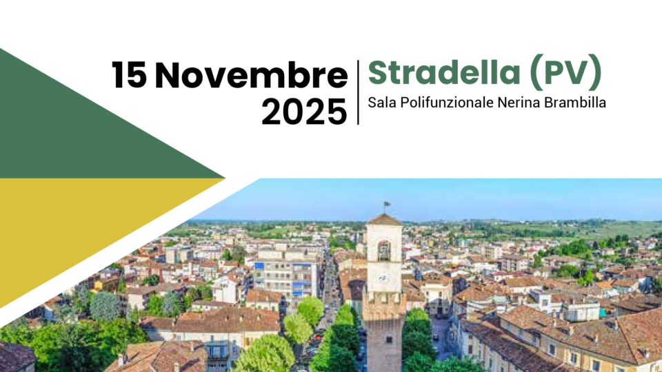 Programma_II giornata Reumatologica in ASST Pavia_V10 ok_page-0001