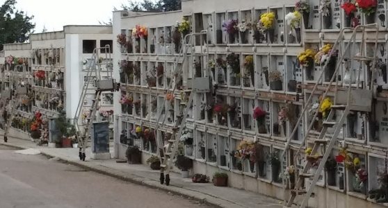 cimiteri_54_5514