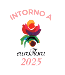 Immagine 2025-04-01 153619