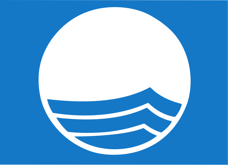 blue_flag_spot