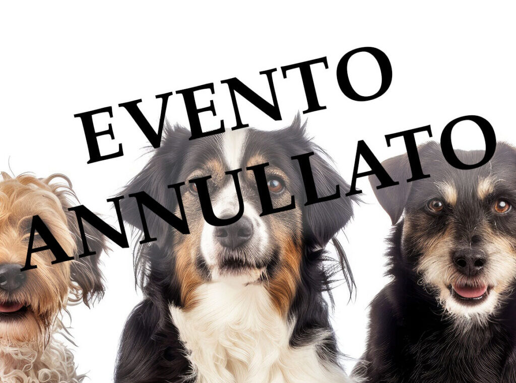 II raduno cani meticci