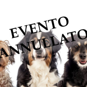 II raduno cani meticci