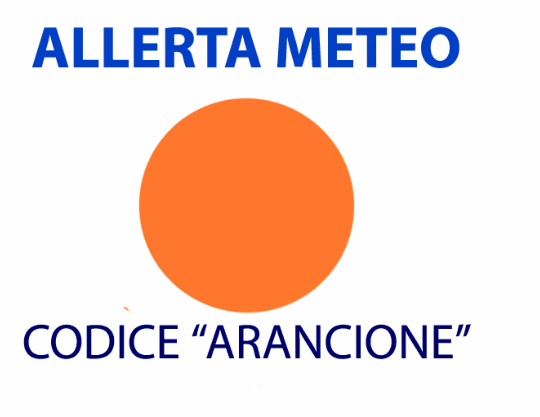 102877___codice