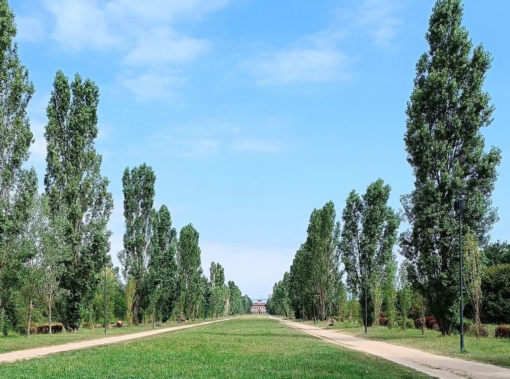 parco grubria