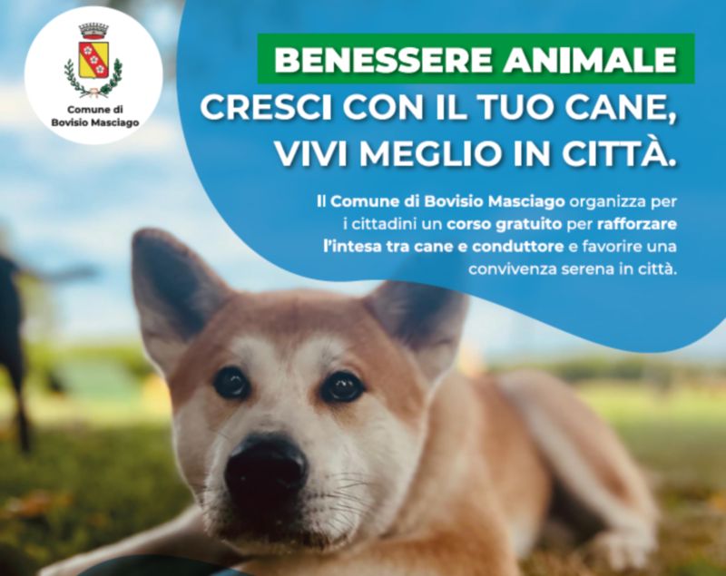 bovisio benessere animale
