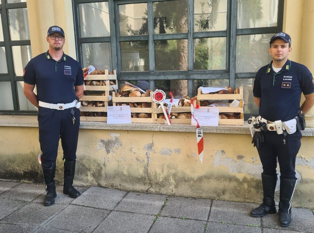bovisio sequestro funghi
