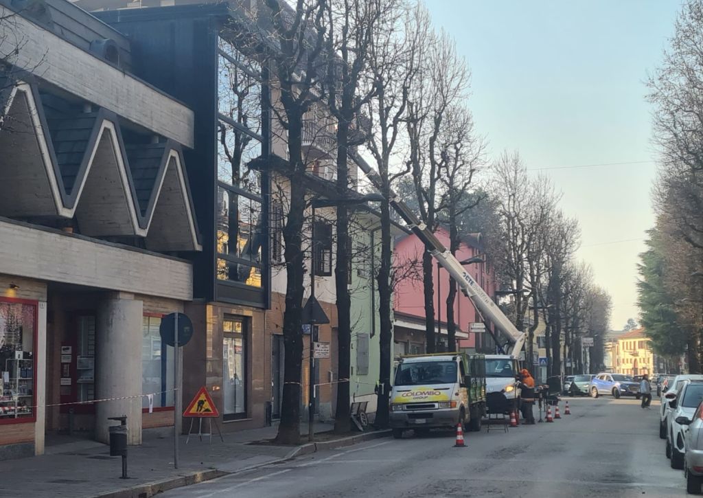 potature corso milano