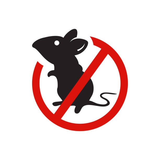 anti mouse parasite no rat no pest logo vector design illustration
