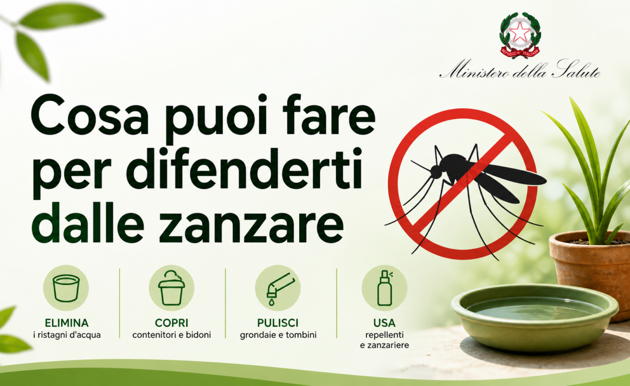 zanz immagine