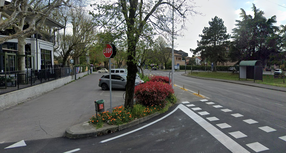 Strada con alberi cartelli auto ed edifici