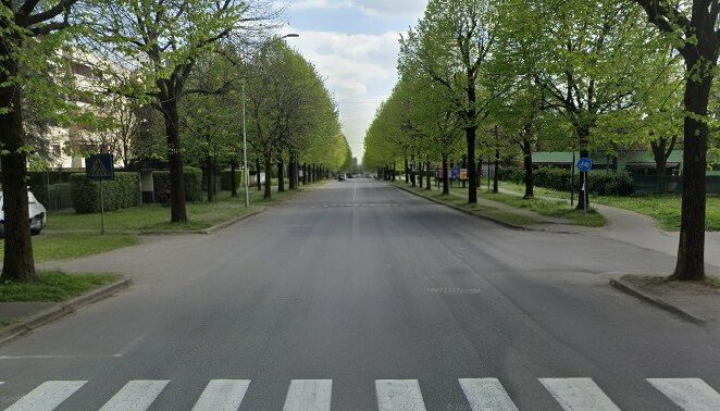 Strada alberata