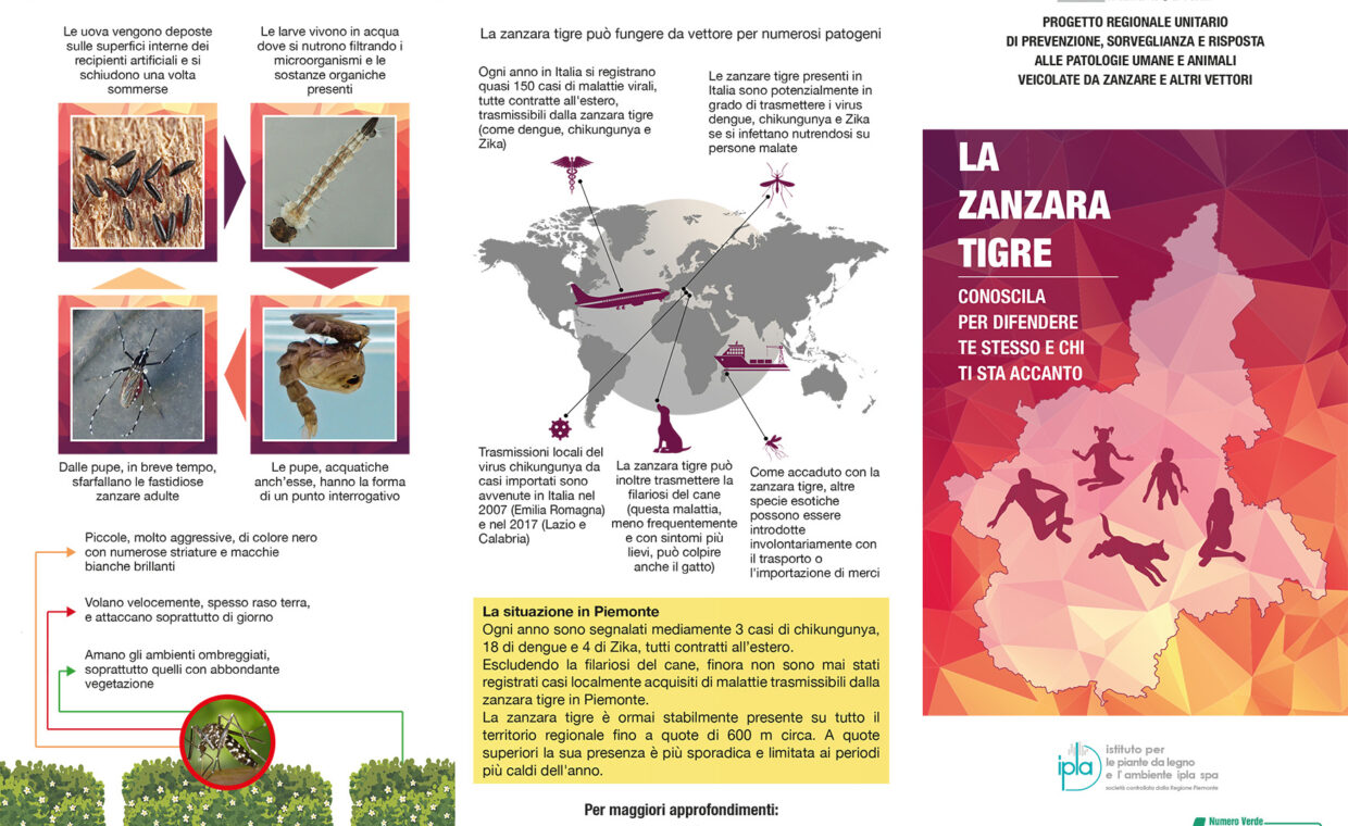 Ciclo biologico delle zanzare