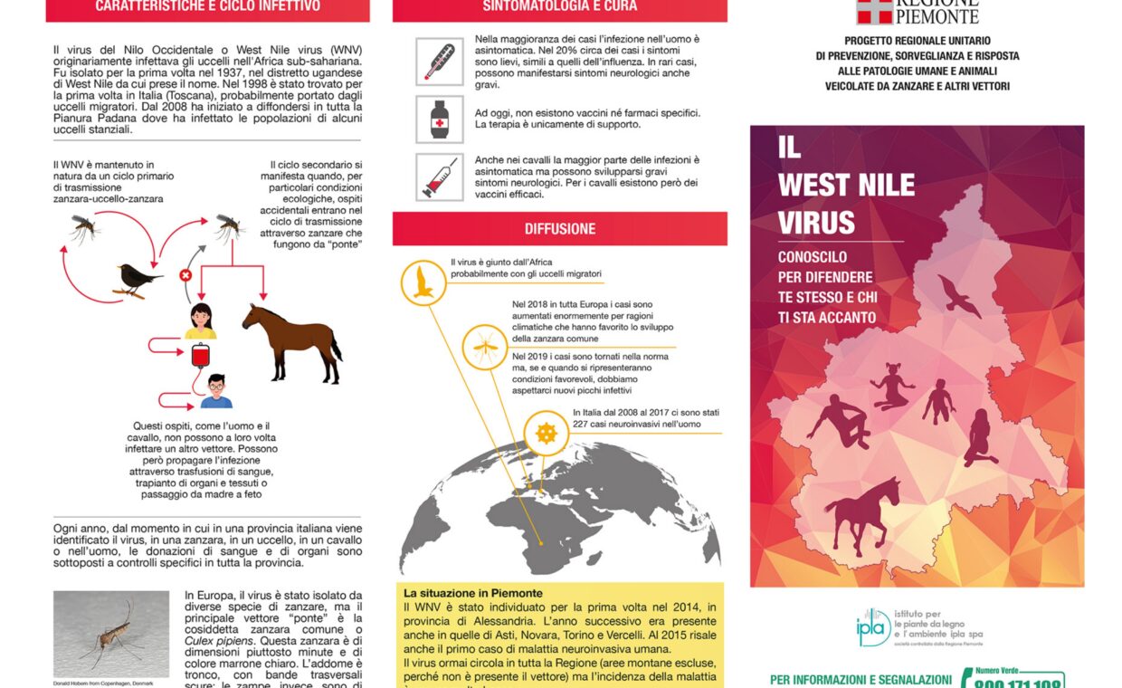 Diffusione West Nile
