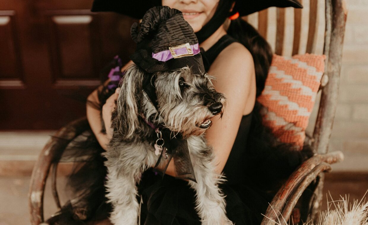 Immagine di una bimba che tiene in braccio un cane con il costume di Halloween