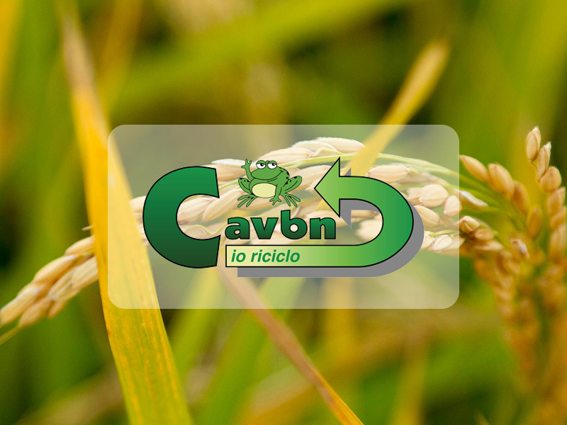 Foto di una spiga di grano con riportato il logo del Cavbn