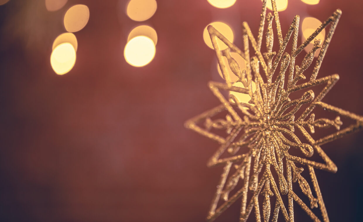 Foto di una stella di natale