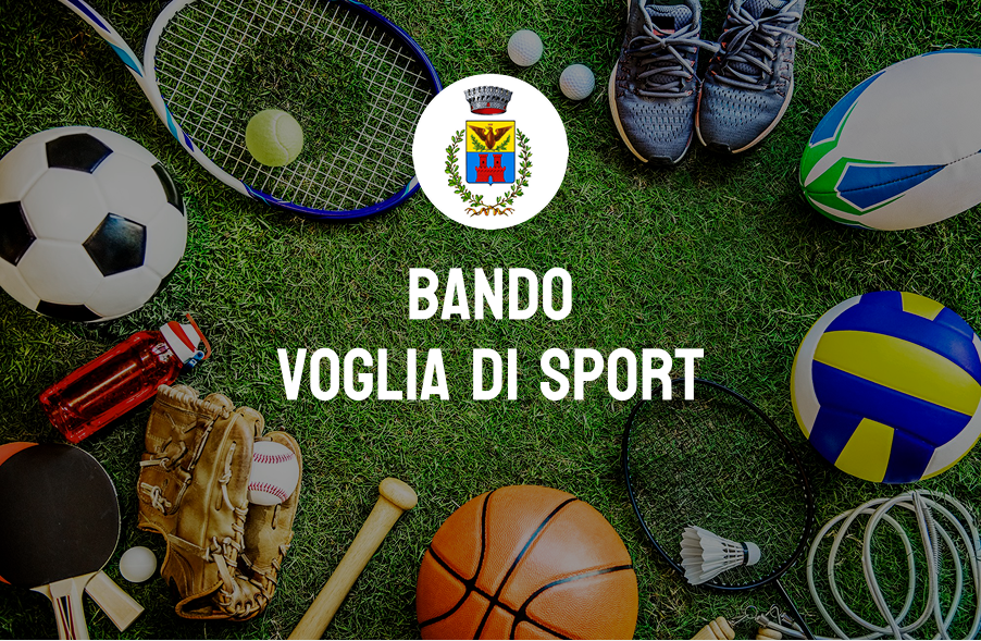 Immagine di un prato con le attrezzature di vari sport