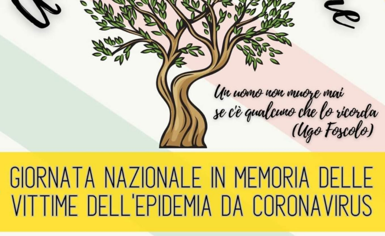 Un ulivo per ricordare - original