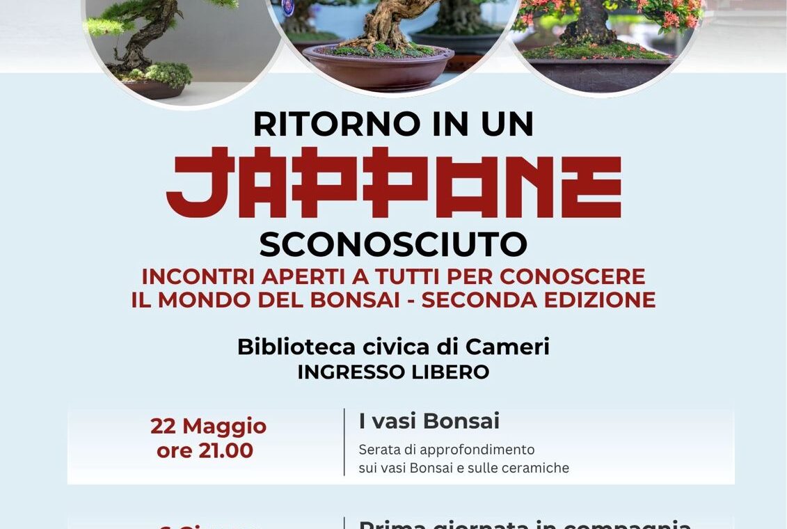 Locandina Bonsai