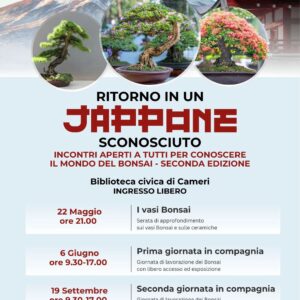 Locandina Bonsai
