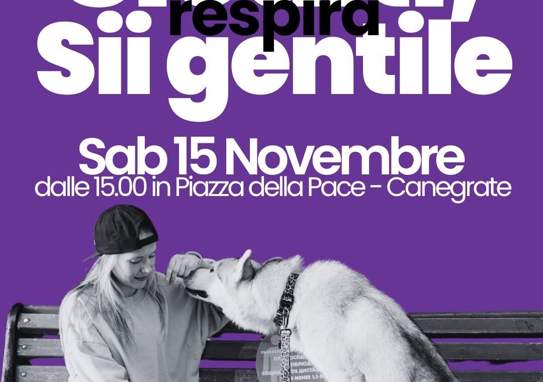 Locandina Programma Panchina Viola