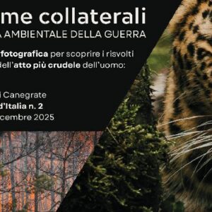 VittimeCollaterali Dett