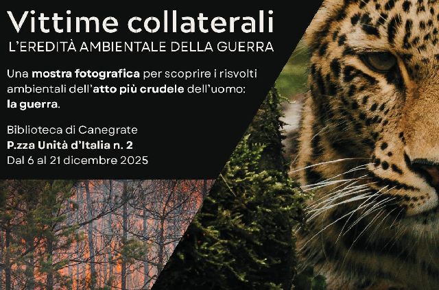 VittimeCollaterali Dett